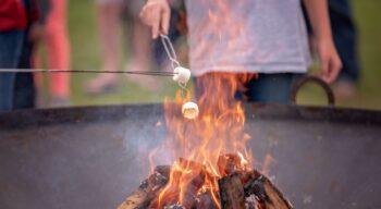Marshmallows being roasted over a campfire.