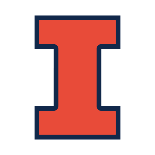 Illinois World Cup team flag