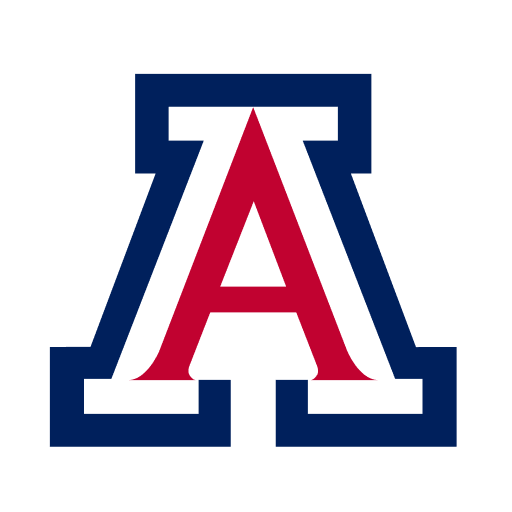 Arizona World Cup team flag