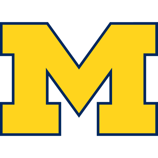 Michigan World Cup team flag