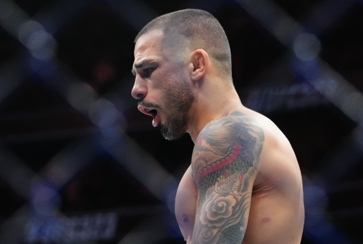 ufc flyweight rankings