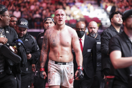 ufc heavyweight rankings