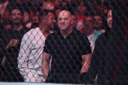 zuffa boxing