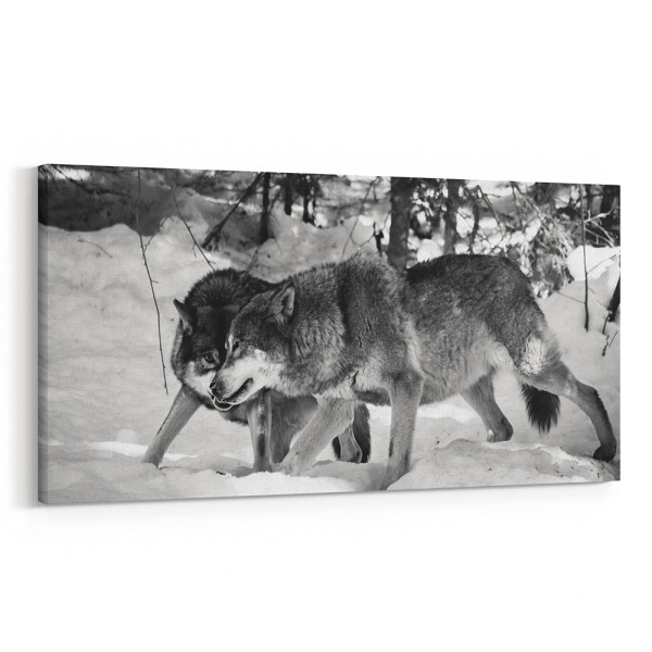 2 Wolves Hunting In Winter Canvas Wall Art