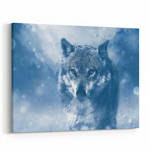 Gray Wolf With Bright Blue Eyes - Close Up Canvas Wall Art