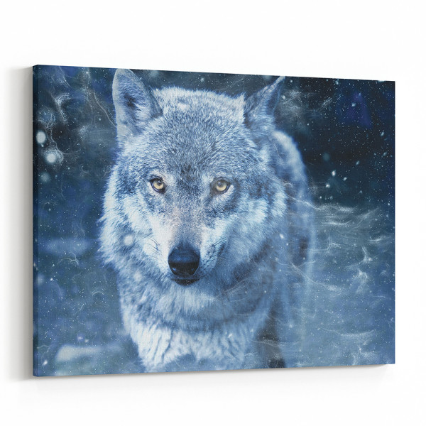 Gray Wolf With Amber Eyes Canvas Print
