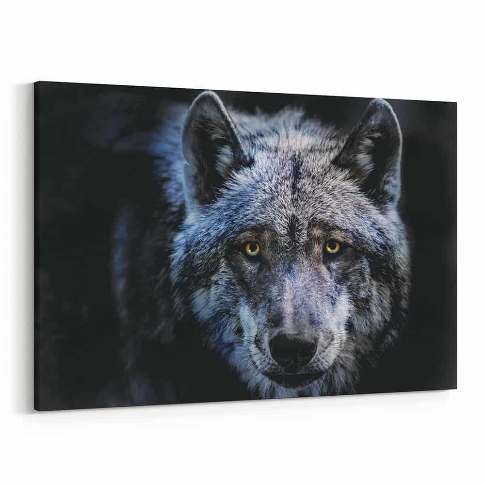 Wolf In The Dark – Close Up Canvas Wall Art