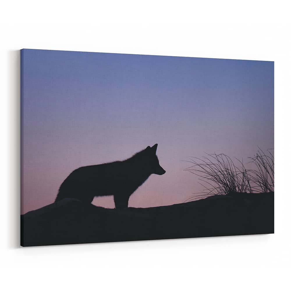 Wolf Silhouette At Dawn Canvas Wall Art