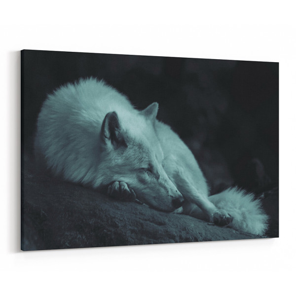 Wolf Sleeping In The Dark Canvas Wall Art