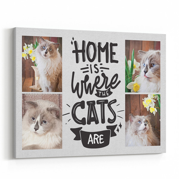 Home Is Where The Cats Are - Photo Collage Canvas Print