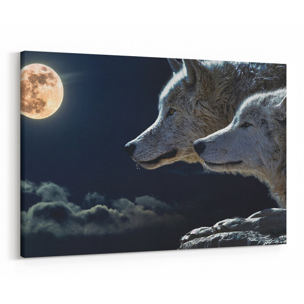 Wolf Couple Moon Cloud Sky Full Moon Canvas Print