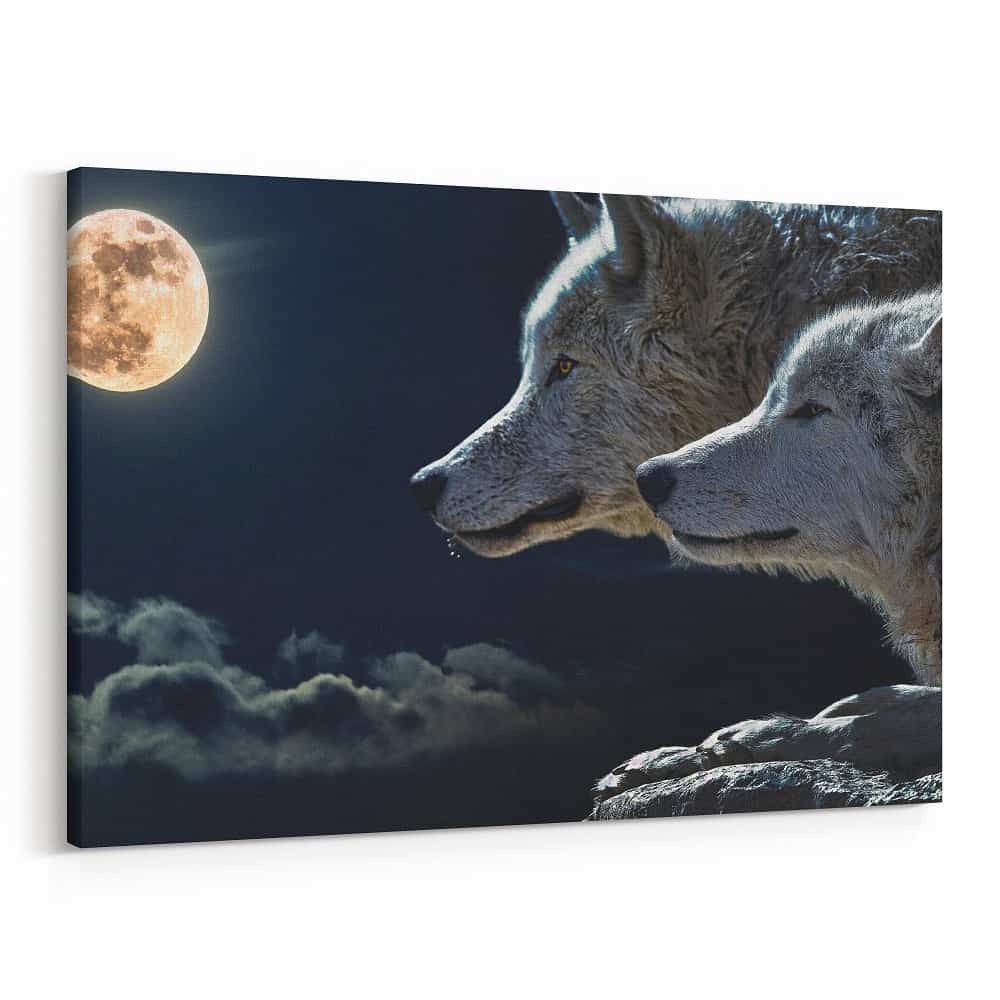 Wolf Couple Moon Cloud Sky Full Moon Canvas Print