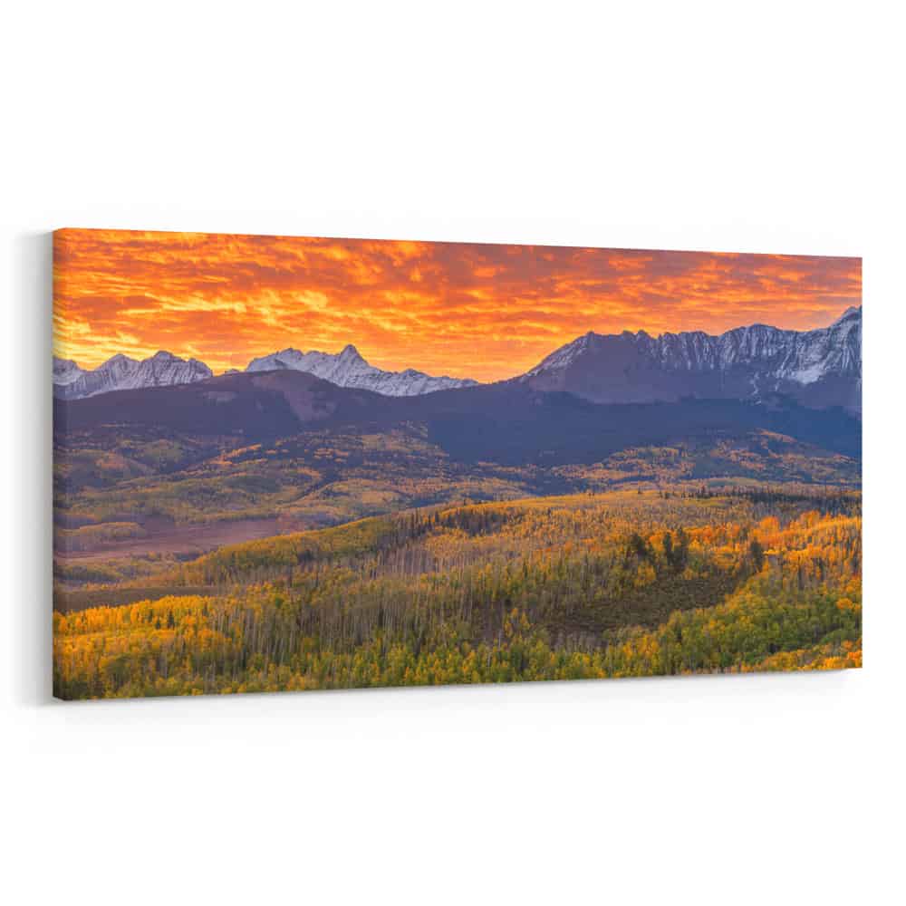 24×48″ Canvas Print