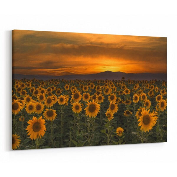 40x60" Canvas Print