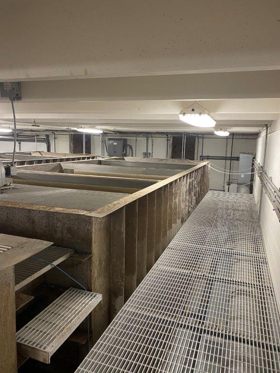 MEURER RESEARCH, INC. CUSTOM