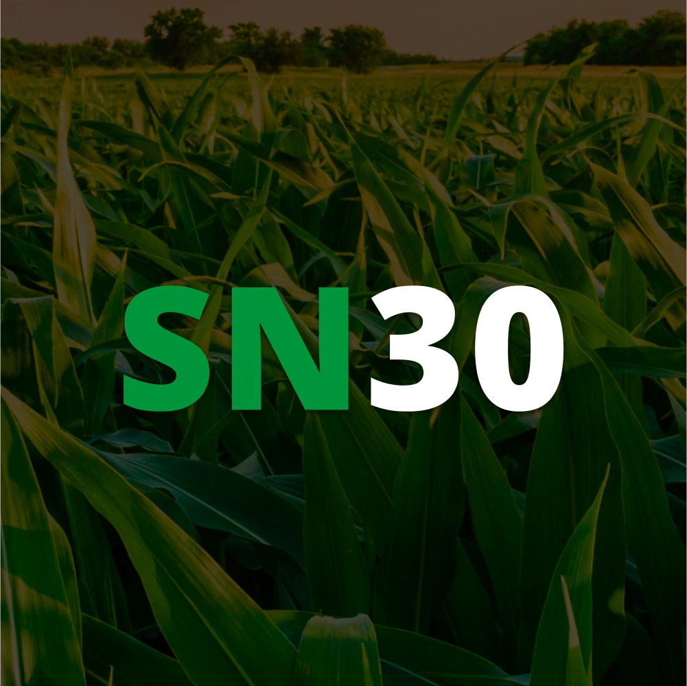 SN30