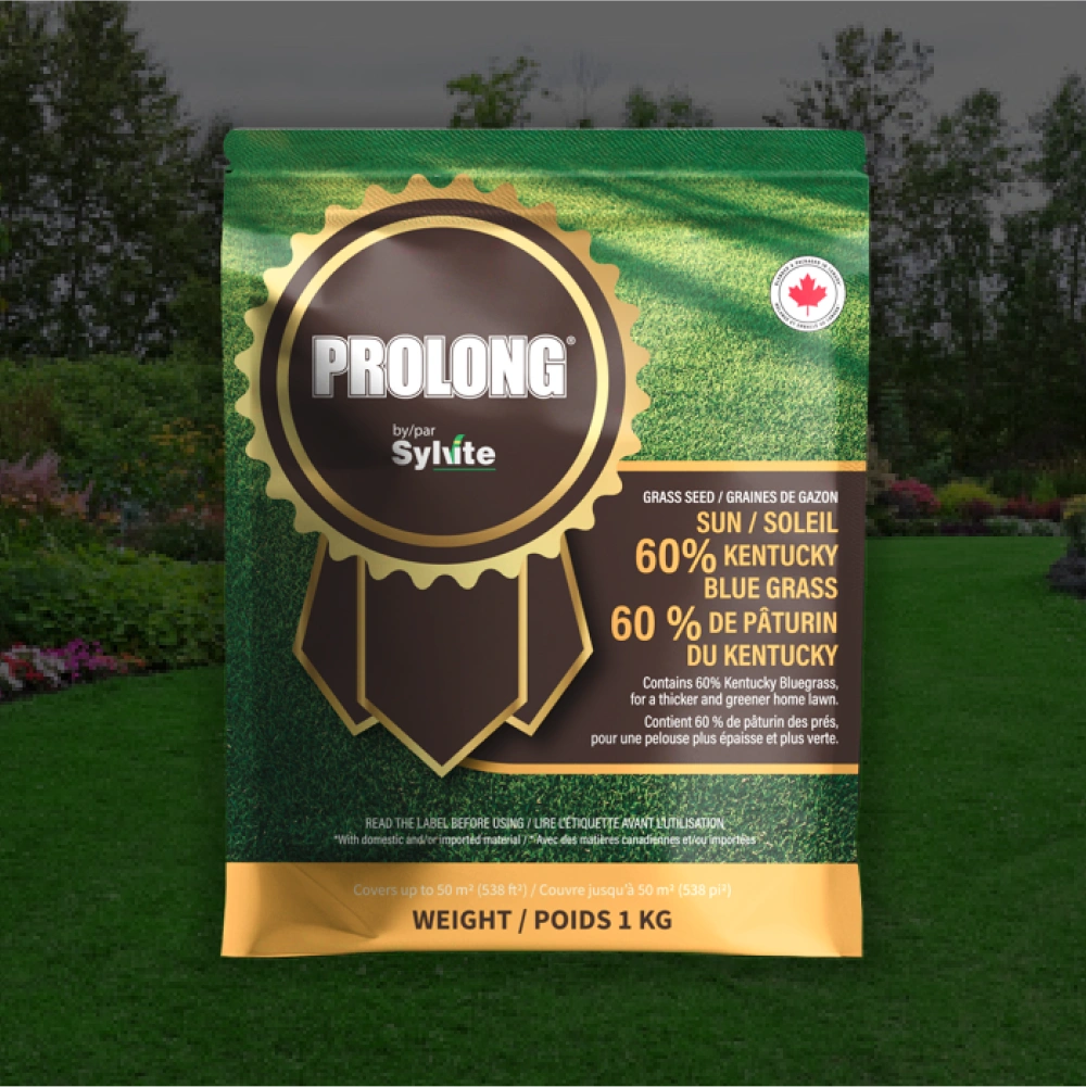 Prolong Sun Mix Grass Seed