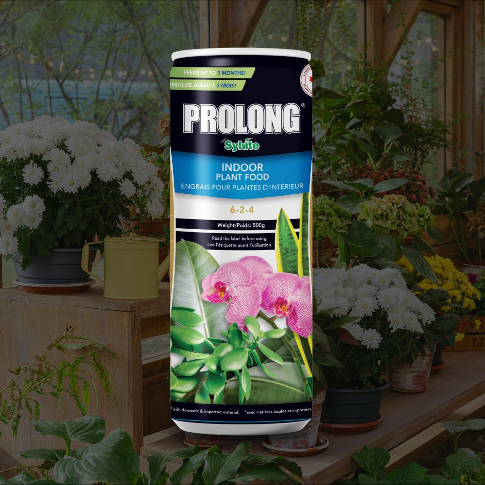 Prolong - Indoor Plant Food