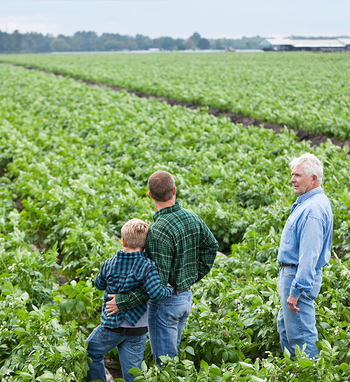 Three people observing a lush green field of crops together
