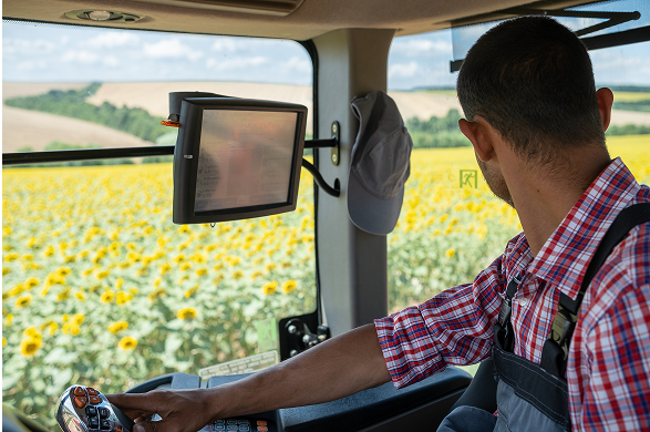 Farmer operating a tractor with a view of sunflower fields