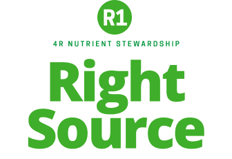 Green logo featuring