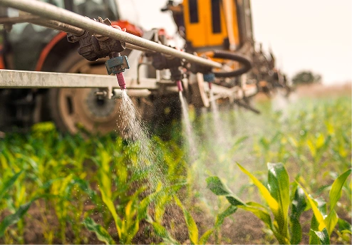 Spraying equipment applying liquid to green corn plants in a field