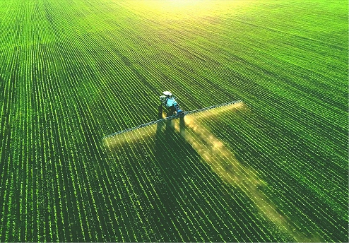 Tractor spraying a field of crops