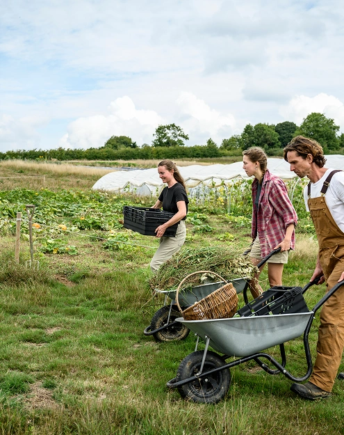 People in a field with farming tools