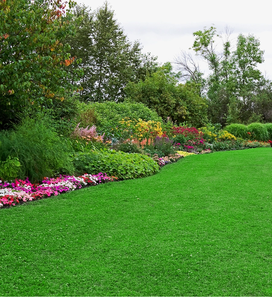 Lush green lawn bordered by vibrant flower beds and shrubs