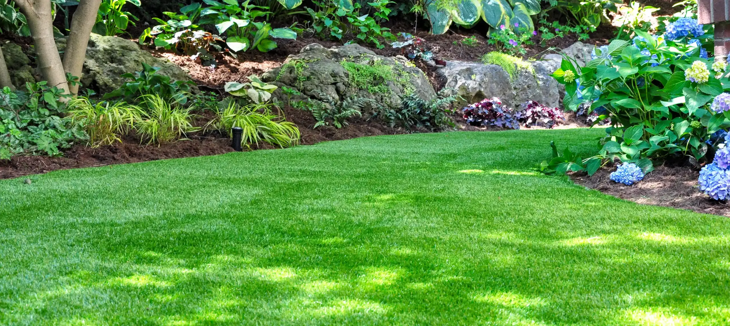 Lush green lawn surrounded by vibrant plants and rocks
