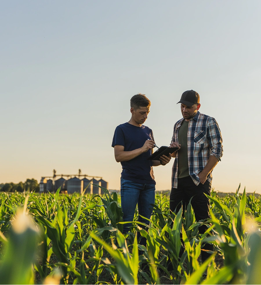 Two farmers discussing crop data in a green field at sunset
