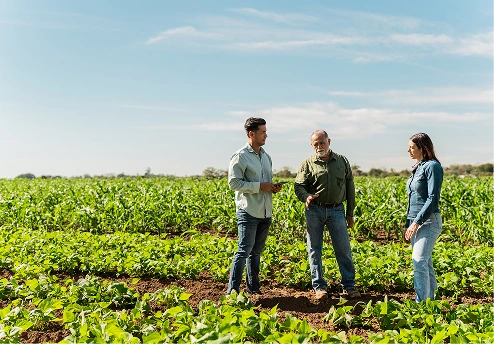 Three people discussing agriculture in a green field under a blue sky