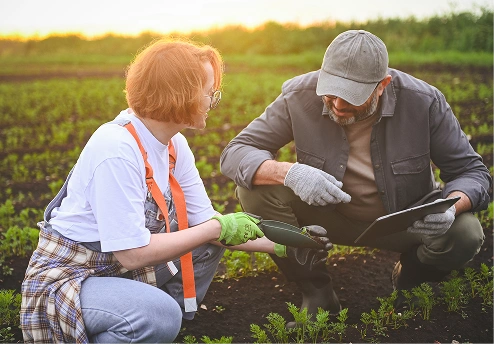 Two agricultural workers examining soil samples in a field at sunset