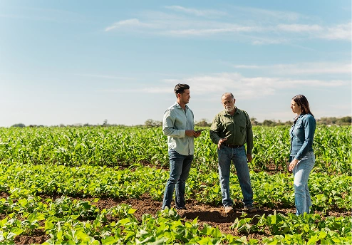 Three people discussing agriculture in a green field under a blue sky