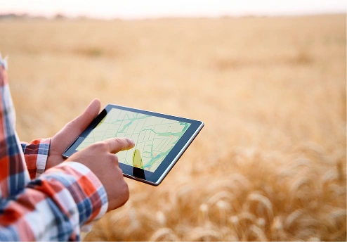 Person using a tablet for soil sample mapping in a wheat field