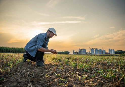 Farmer kneeling in a field, examining soil at sunset with silos in background