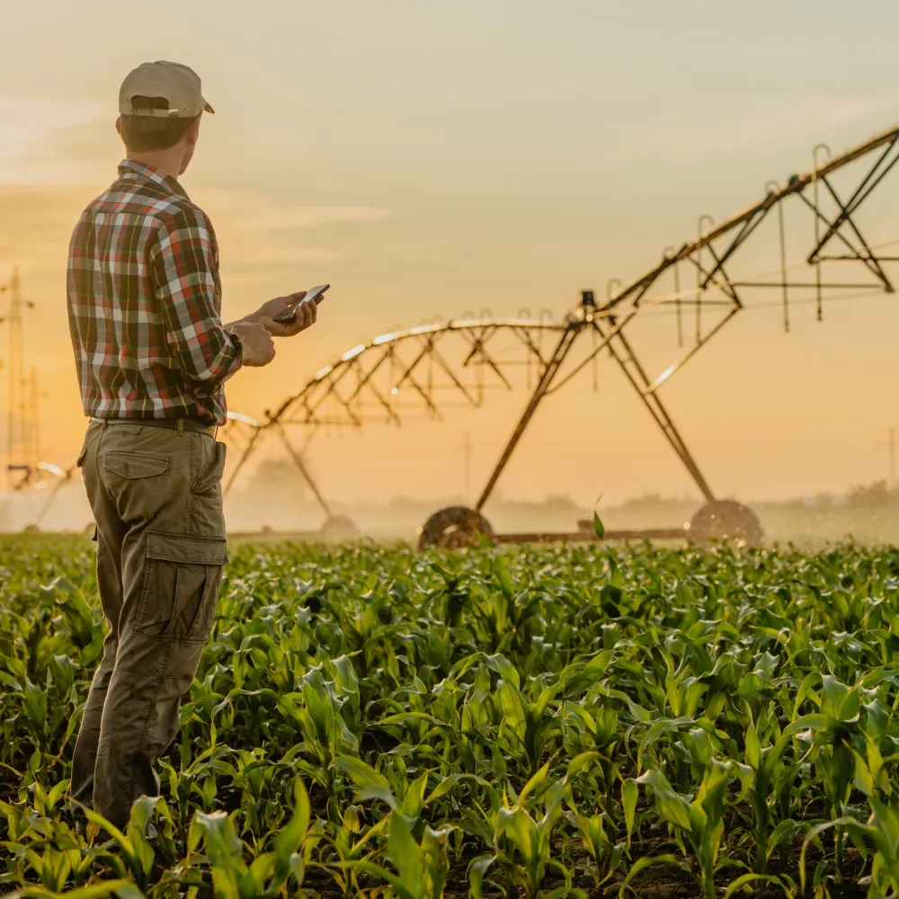 Farmer using a tablet in a green field at sunrise with irrigation equipment