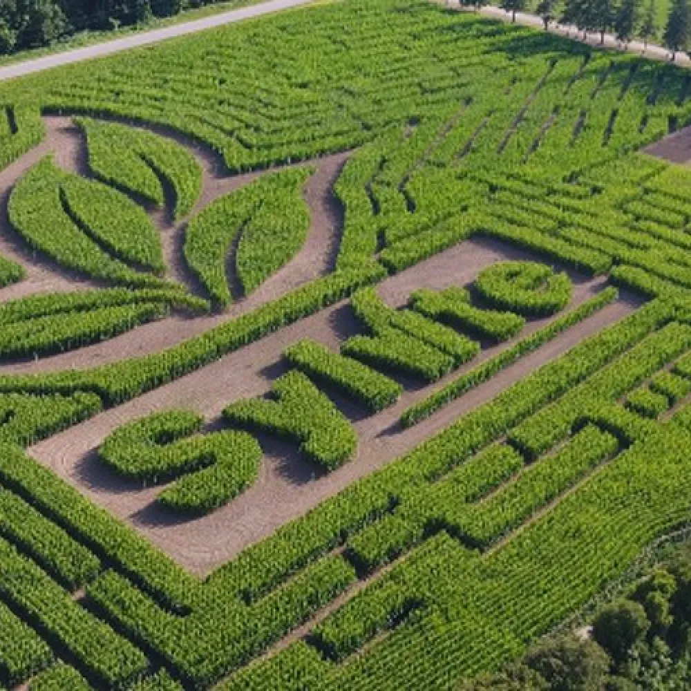 Aerial view of a corn maze featuring the word 