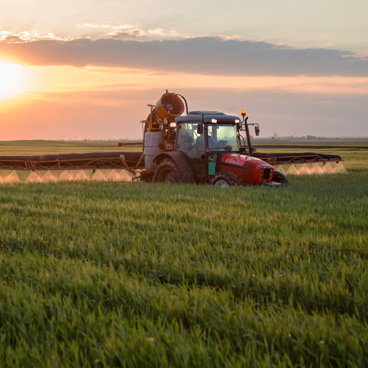 Tractor spraying crops in a green field at sunset