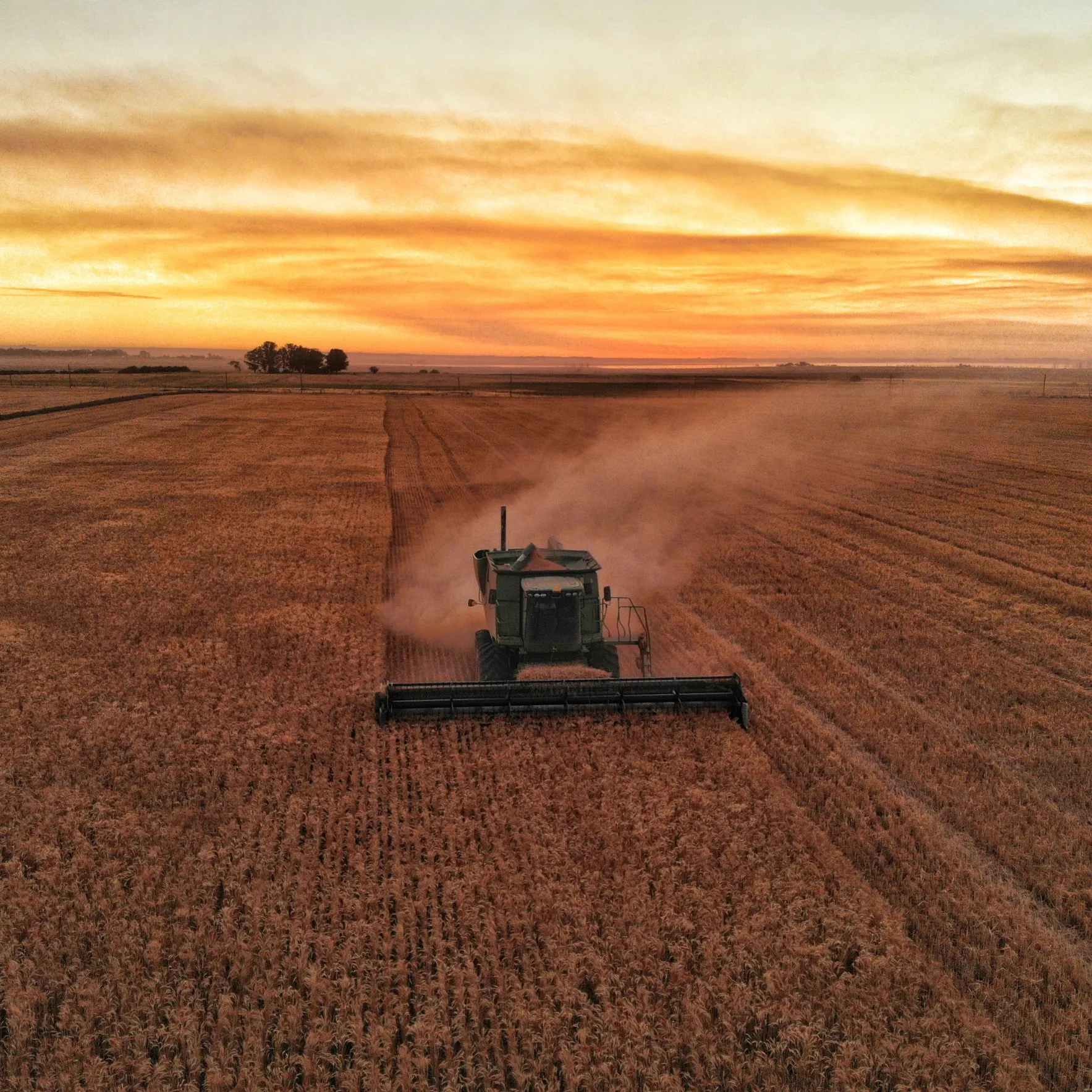 Harvester working on a field