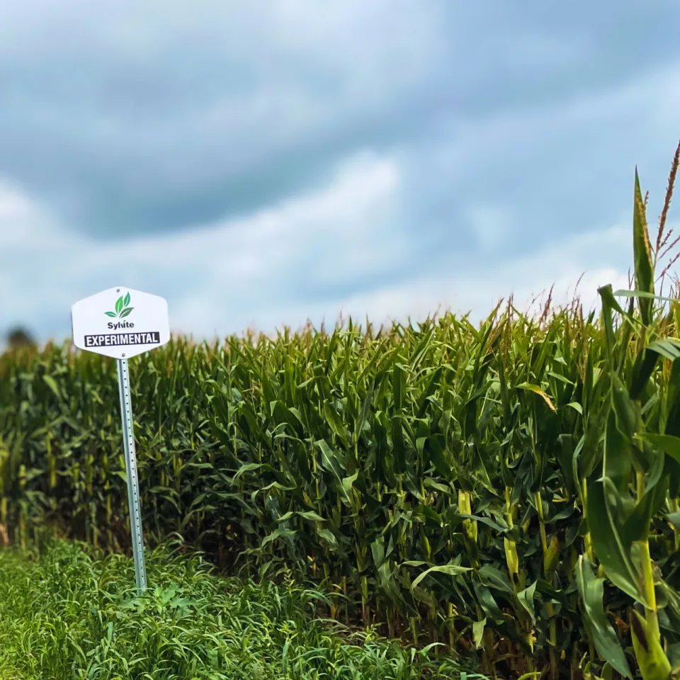 Sylvite sign next to crops