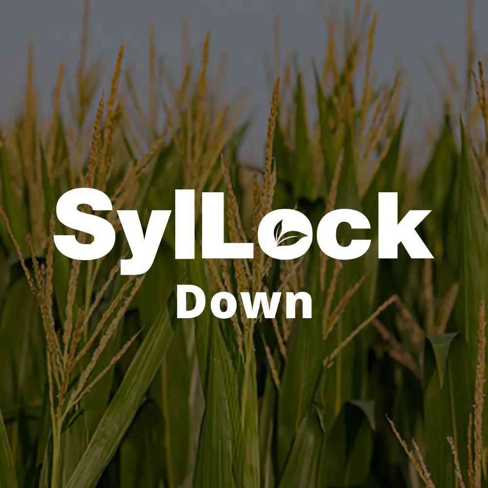 SylLock™ Down