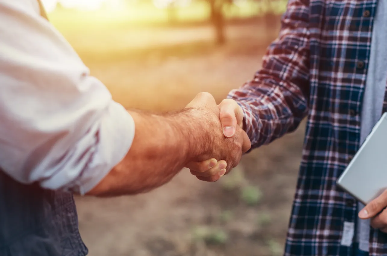 Two people shaking hands with sun behind them