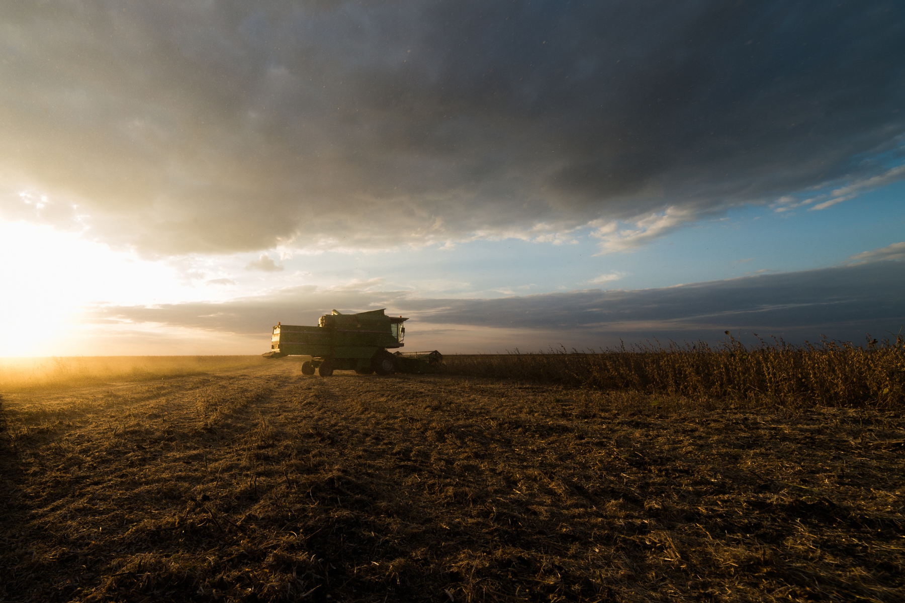 Fall Corn Field Harvest