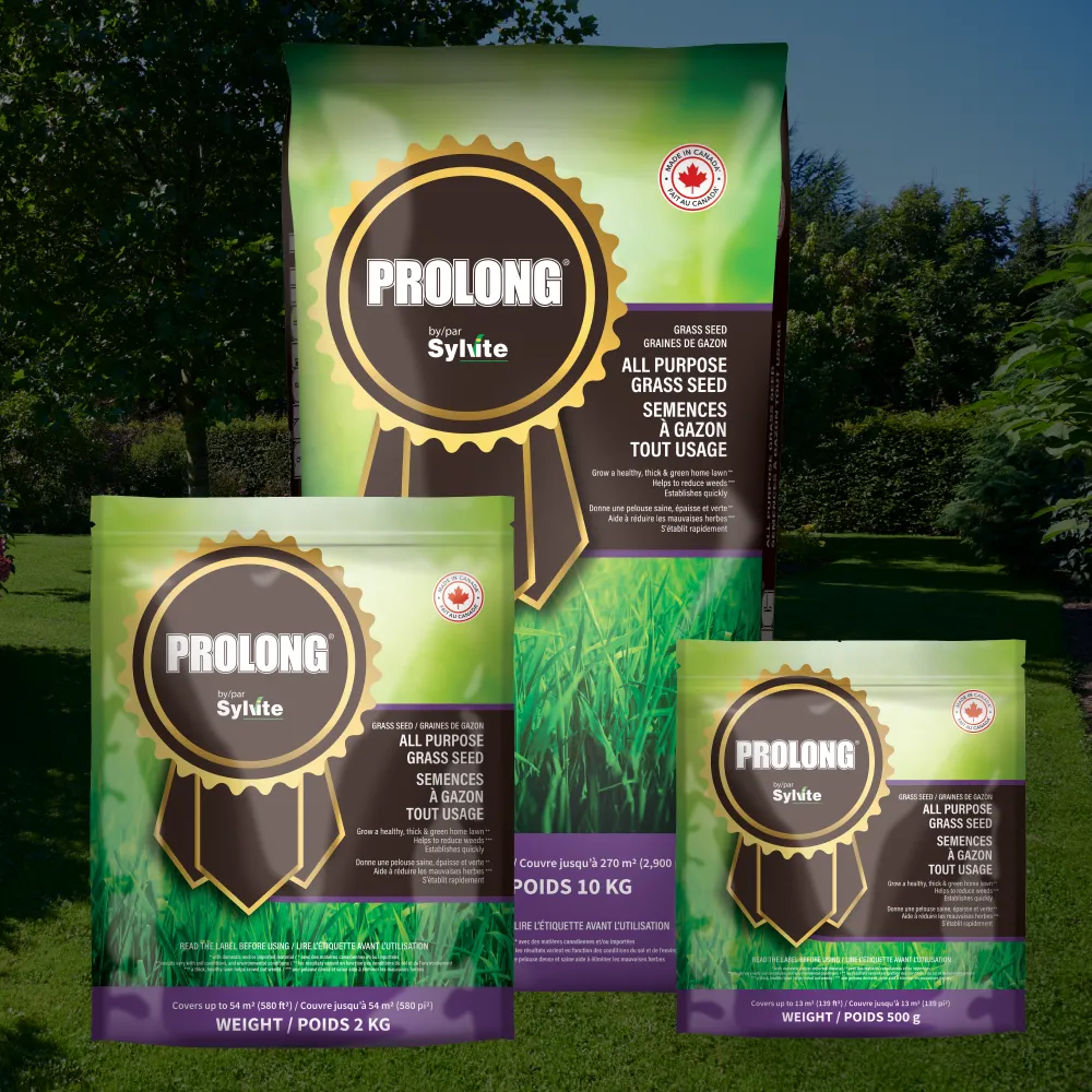 Sylvite Prolong All Purpose Grass Seed Sizes
