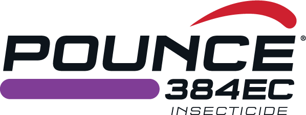 Pounce 384E