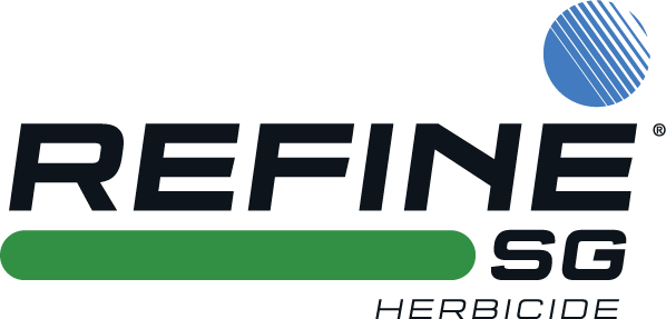 Refine SG