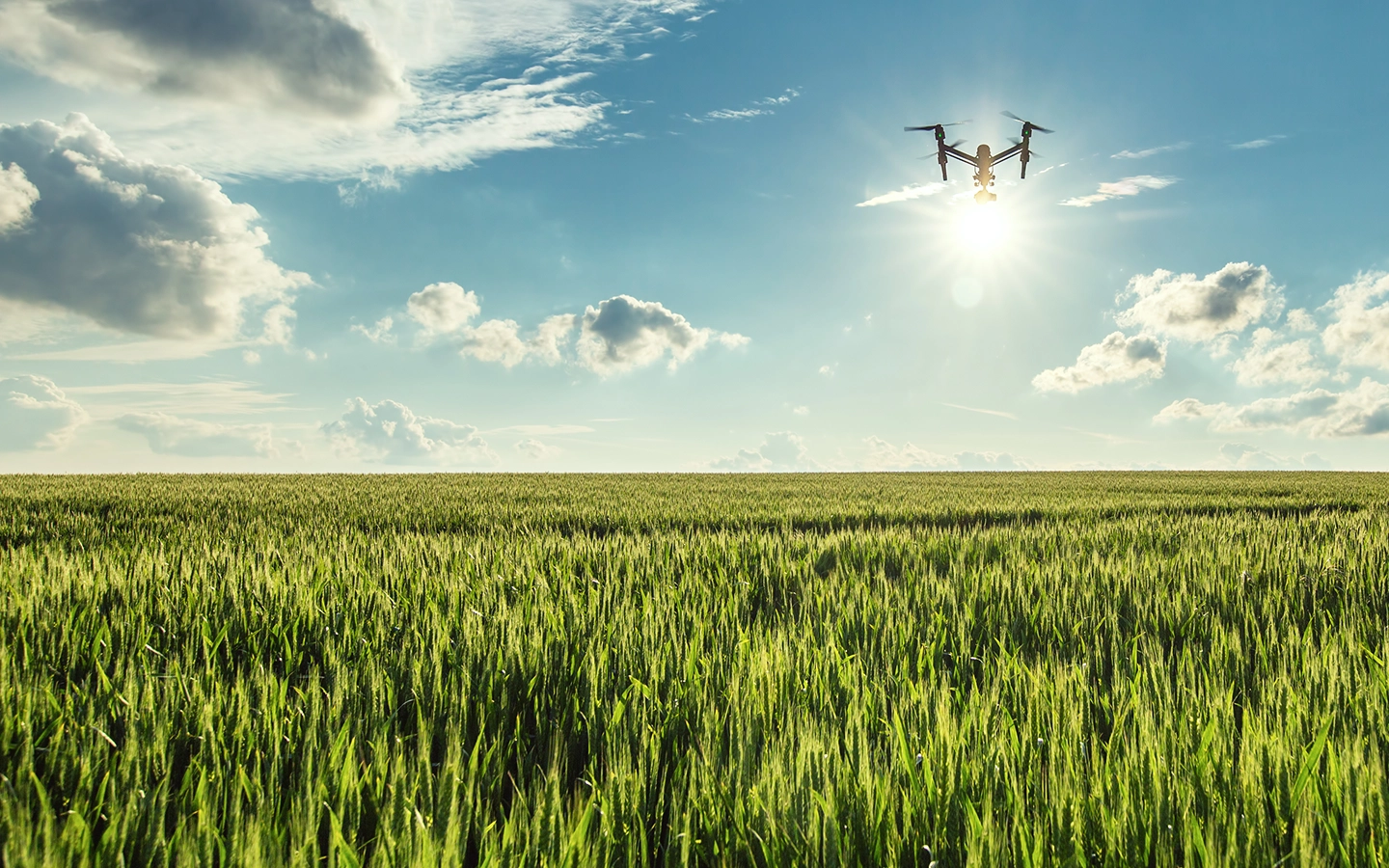 Agricultural drone flying over a green crop field