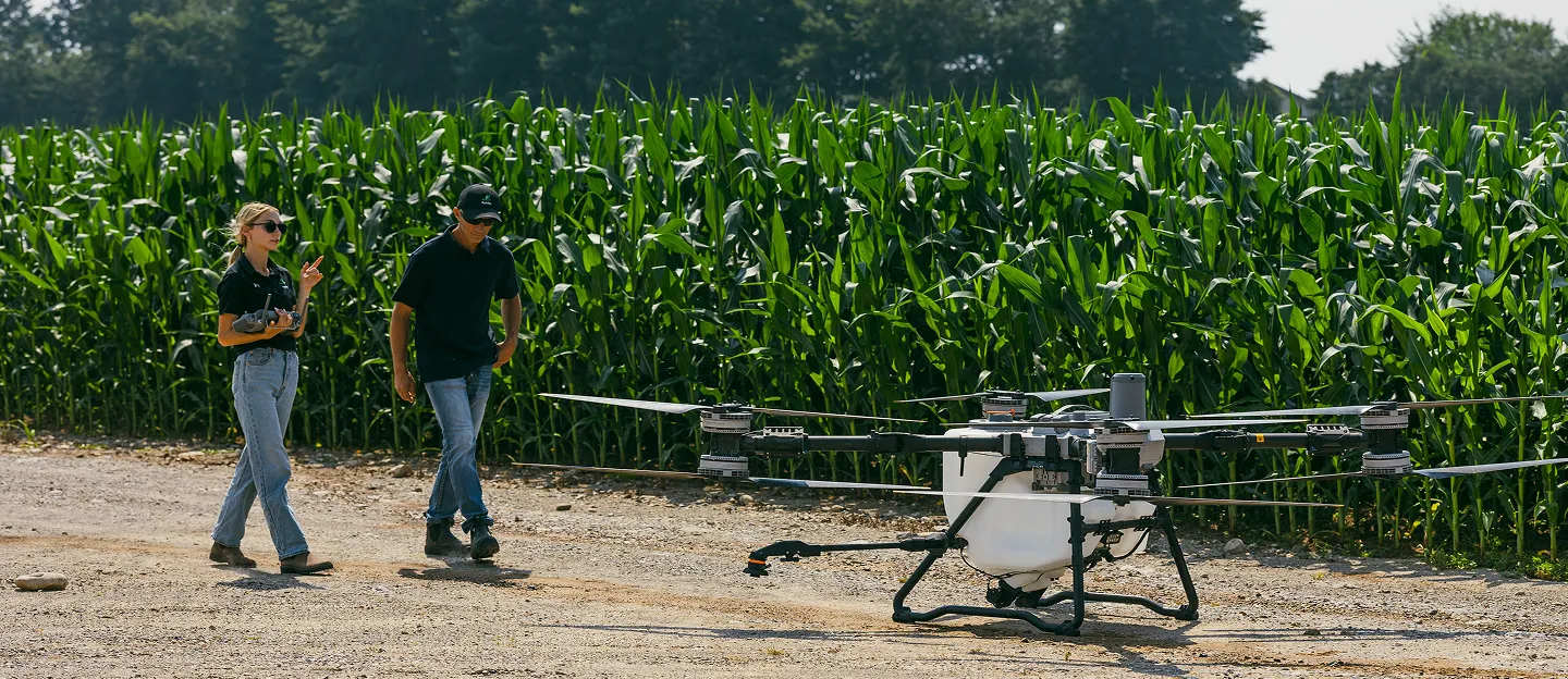Sylvite agronomists walking beside a corn field with an agricultural drone