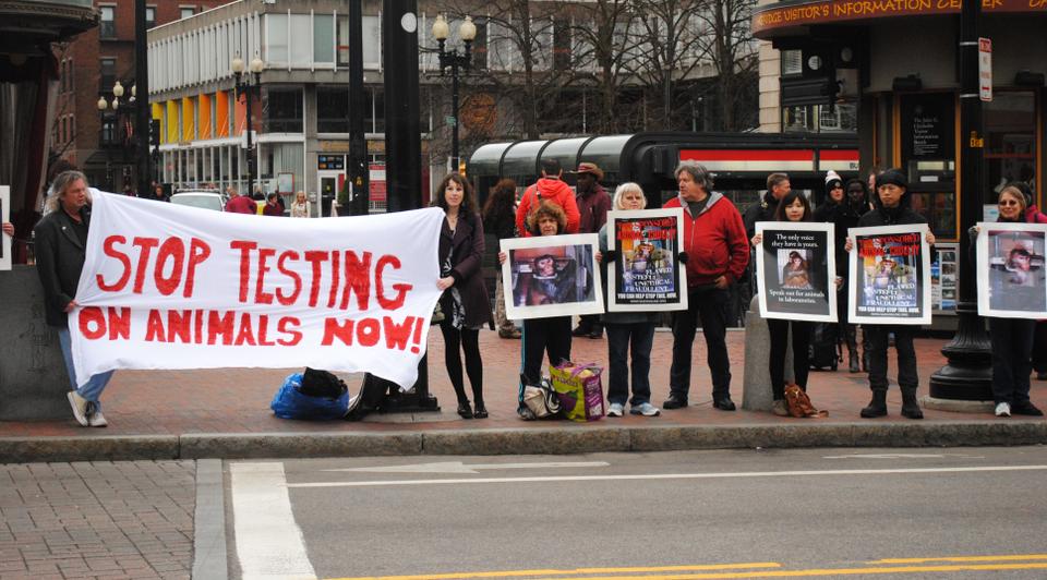 Protesters rally in Harvard Square against animal testing in 2012.